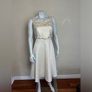 EVA BY EVA FRANCO - A-line Dress. Gorgeous Champage and Gold. Size: 10 P2P 19”